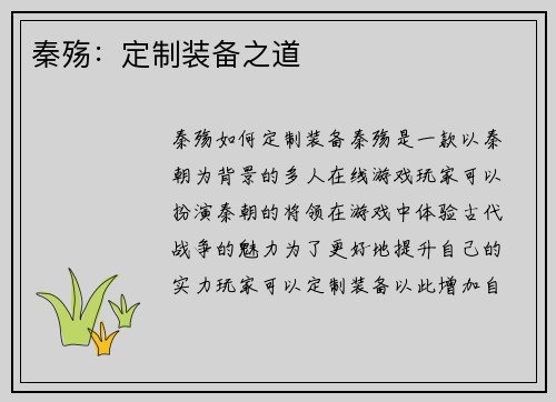 秦殇：定制装备之道