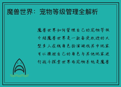 魔兽世界：宠物等级管理全解析